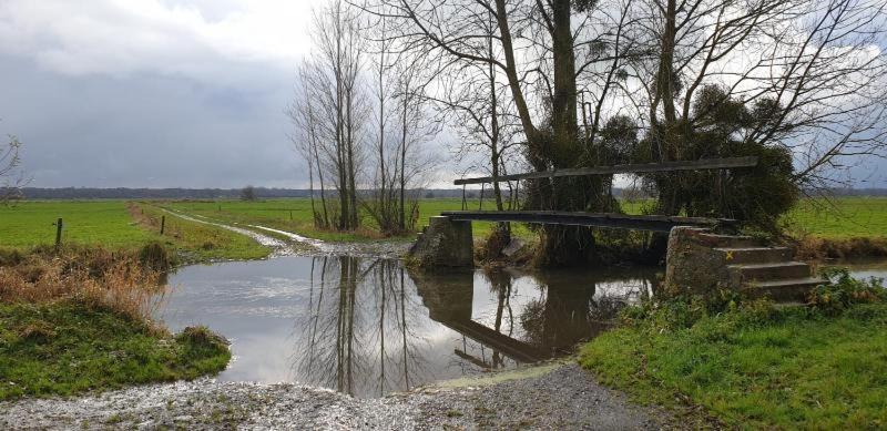 Charming Cottage Du Marais Dday Omaha Beach Canchy  ภายนอก รูปภาพ