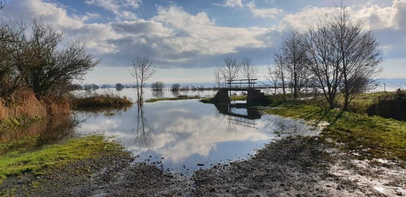 Charming Cottage Du Marais Dday Omaha Beach Canchy  ภายนอก รูปภาพ